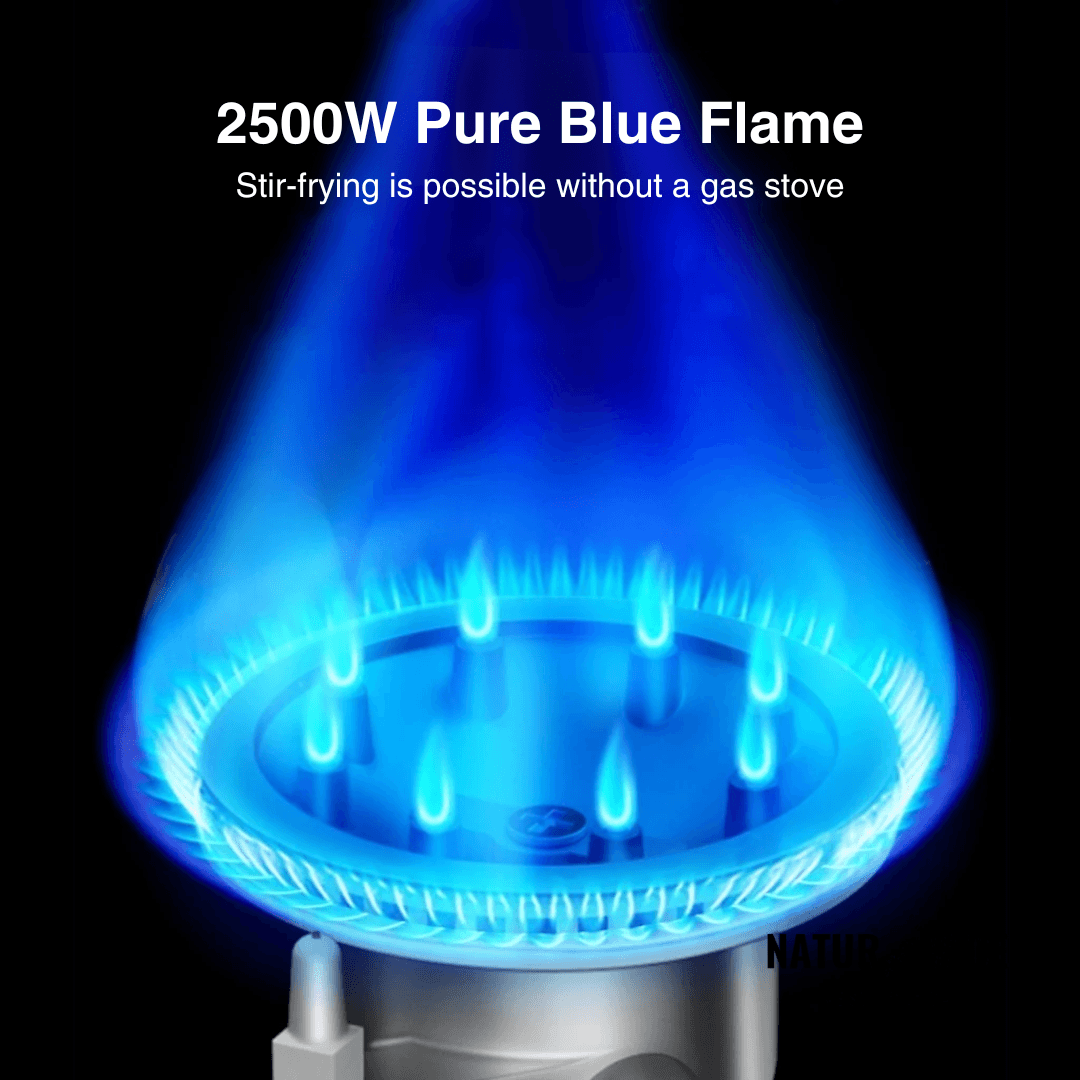 Portable Gas Camping Stove 2500W with Spill Tray & Pot Stand