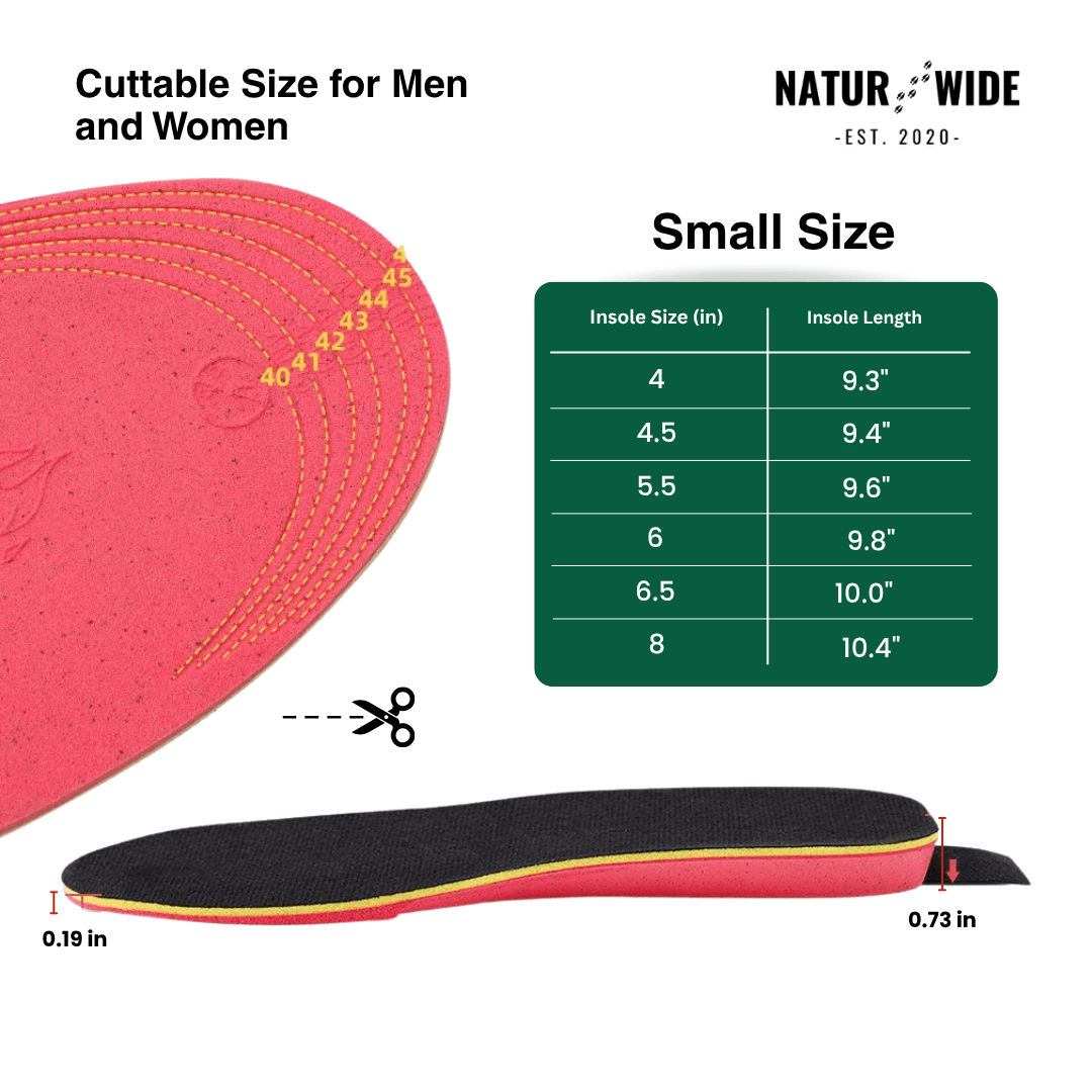 App-Controlled Smart Rechargeable Heated Insoles